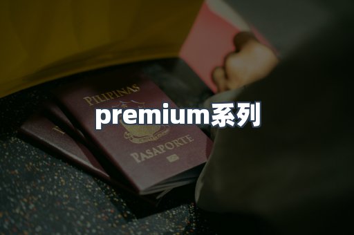 premium系列
